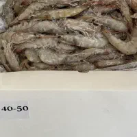 میگو پرورش باسر و پوست و پاک شده