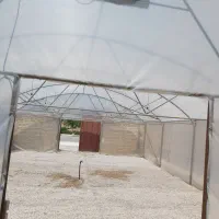 اجاره گلخانه جهت فروش گل و گلدان و نهالستان|اجارهٔ دفتر صنعتی، کشاورزی، تجاری|مرودشت, فاز دوم شهرک فرهنگیان|دیوار