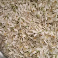 بهار نارنج دستچین و معطر