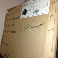 هود نو‌ هنوز‌از‌کارتون‌در‌نیامده