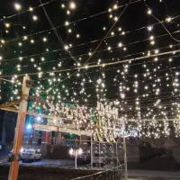 تولید واجرای ریسه LED12vبا یکسال ضمانت|ریسه و چراغ تزئینی|تهران, زعفرانیه|دیوار
