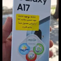 a17