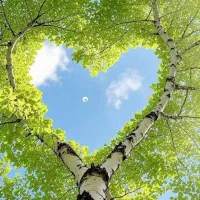 منشی دفتر شرکت