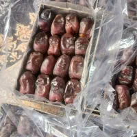 خرما مضافتی درجه یک