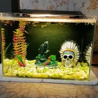 آکواریوم سانپ دار