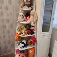 ویترین در حد نو