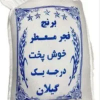 برنج شمال طارم فجر  گیلان زیر قیمت بازار