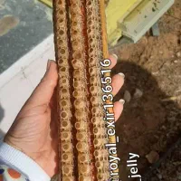 ژل رویال درمان ناباروری وسرطان
