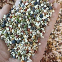 خوراک پرندگان زینتی در پرنده سرای طبیعت|لوازم جانبی حیوانات|مرند, |دیوار