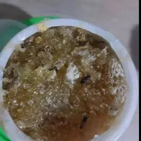 عسل کوهی تازه چین