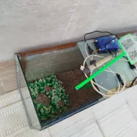 آکواریوم|ماهی|محمدبار, |دیوار