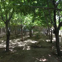 ویلا باغ کردان کوهسار|فروش خانه و ویلا|کوهسار (البرز), |دیوار