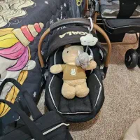 کالسکه و کریر و کیف