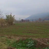 تا1000متر-فروشی-باغی-و-کشاورزی