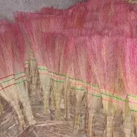 جاروی دوخته شده