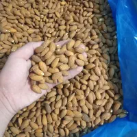 مغز بادام درختی