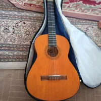 گیتار نو برای آموزش