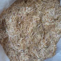 کاه درجه یک یک|عمدهفروشی|شیروان (خراسان), |دیوار