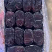 خرما در یک تمیز 570کیلو دارم