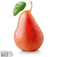 تولید نهال گلابی فورل