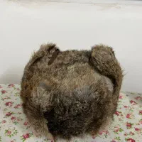 کلاه روسی اصل|لباس|اصفهان, آبشار|دیوار