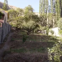 باغچه فروشی ۱۰۰۰متر جاده چالوس