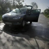 تیپ دو ۲۰۶ سبز انگوری