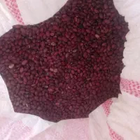 انواع حبوبات با قیمت مناسب موجود هست