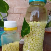 خاویار تازه حلزون .هر روز موجود