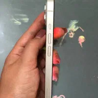 اپل iPhone 13 با حافظهٔ ۱۲۸ گیگابایت|موبایل|کرمانشاه, |دیوار
