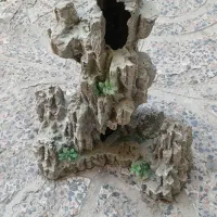 آکواریوم|ماهی|رباطکریم, کیکاور|دیوار