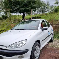 ۲۰۶ تیپ ۲ بی رنگ بی ضربه