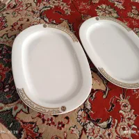 دو عدد دیس پلو خوری