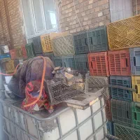 جعبه25 کیلویی|ابزارآلات|ملکان, |دیوار