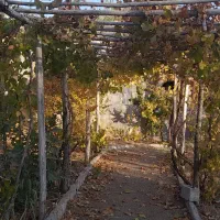 باغ ۱۰۰۰متری همراه با اتاق