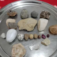 سنگ فسیل و تزیینی