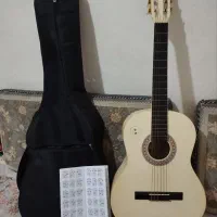گیتار اندونزی Maxine