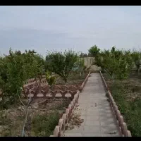 باغچه احمد آباد رضی اباد
