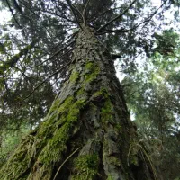 در رابطه با مشکلاتتون راهنمایی میکنم