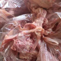 مشتقات مرغی غذای حیوانات عمده باقیمت عالی