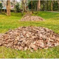 برگ (خزل )خوراک دام