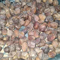 ضایعات خرما (سلونک)