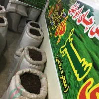 چای ایرانی|خوردنی و آشامیدنی|کرج, ساسانی (قلمستان)|دیوار