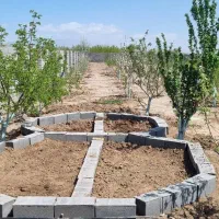 باغ-با-امتیاز-مسکونی-علی-آباد-روبرو-کارخانه-آرد
