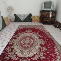 سوییت اجاره
