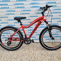 شهر دوچرخه با تنوع بالا|دوچرخه، اسکیت، اسکوتر|شیراز, محراب|دیوار