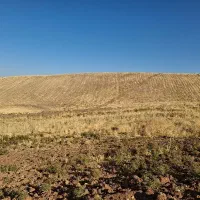 زمین کشاورزی دیم توافقی|فروش زمین و ملک کلنگی|روانسر, |دیوار