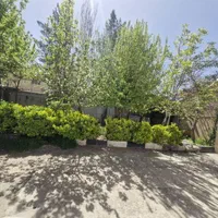 اجاره روزانه باغ جاده سنندج|اجارهٔ کوتاهمدت ویلا و باغ|کرمانشاه, |دیوار