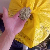 عدسی در جه یک