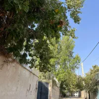 ۵۷۰متر زمین داخل بافت، تهراندشت، سعیدآباد|فروش زمین و ملک کلنگی|کرج, فاز ۲ مهرشهر|دیوار
